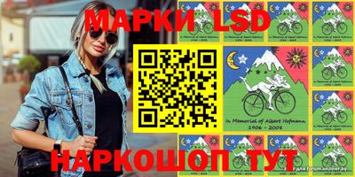 СК Кандалакша
