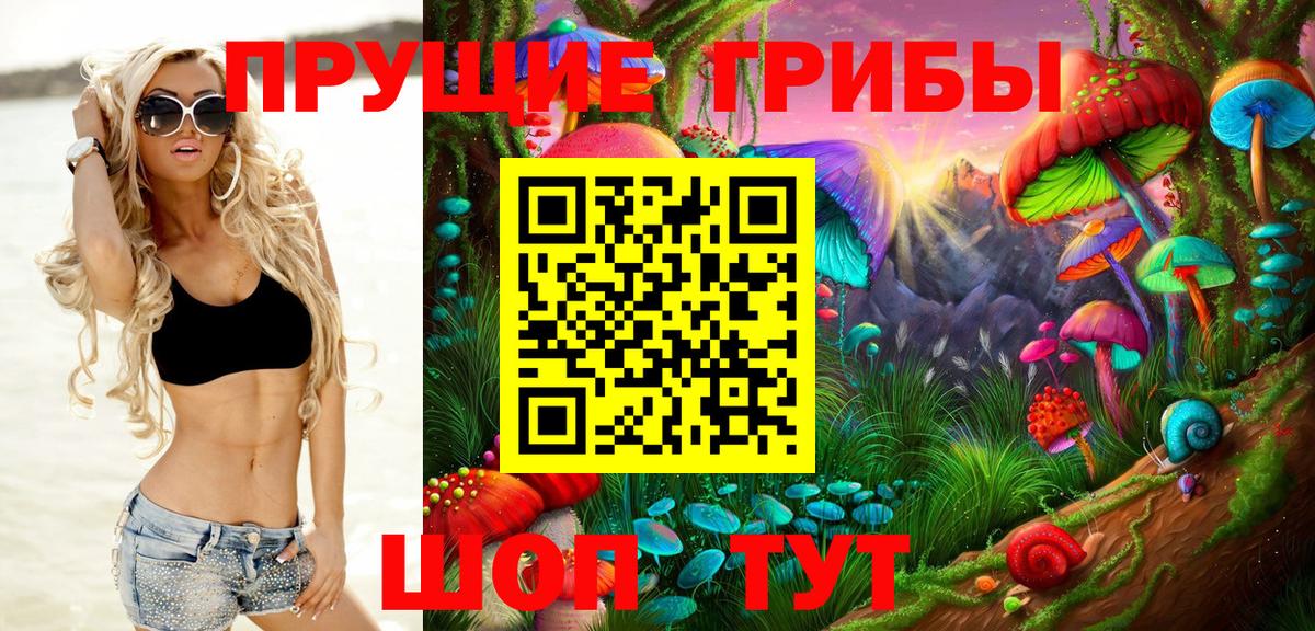 Арсеньев  Галлюциногенные грибы мухоморы  Вход с VPN 